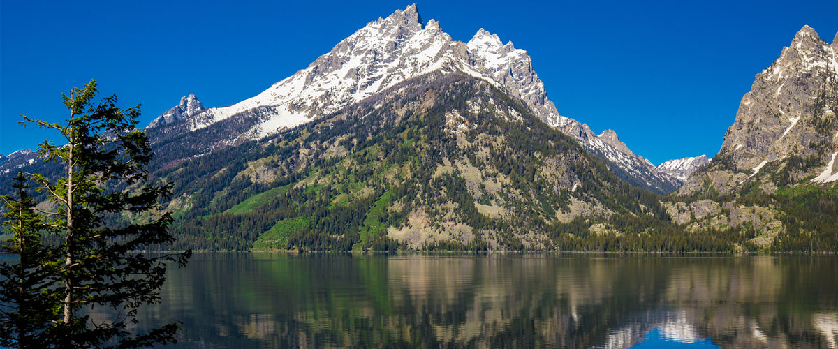 Absolute Archery Casper, WY